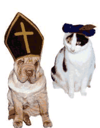 Kat en Hond als Sinterklaas en Zwarte Piet